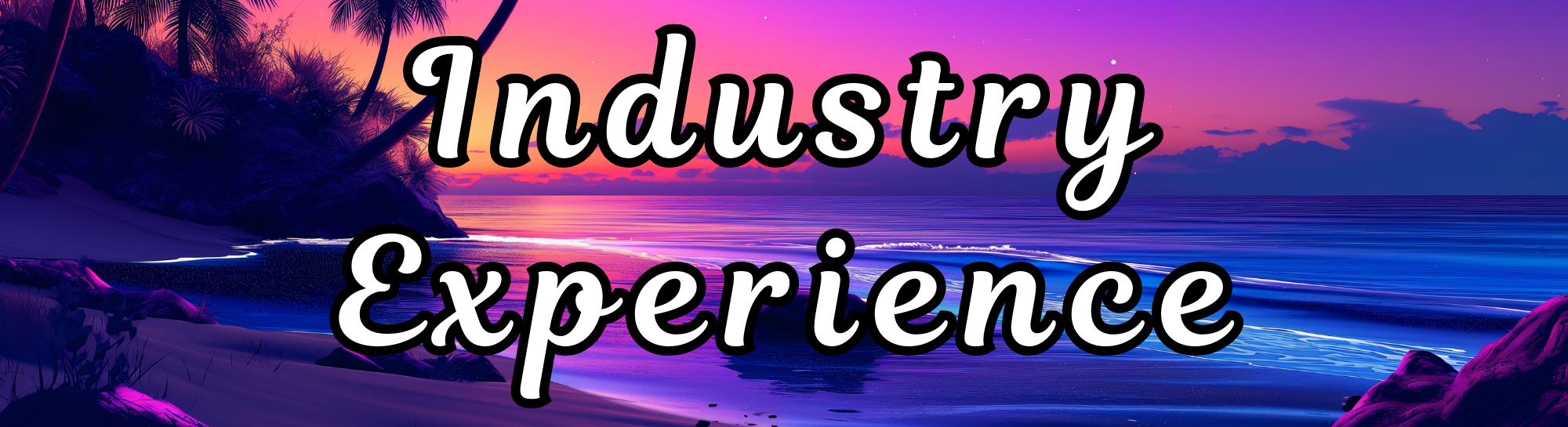 Industry Experience