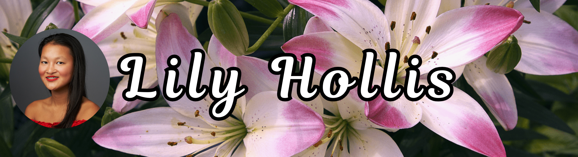About Me - Lily Hollis