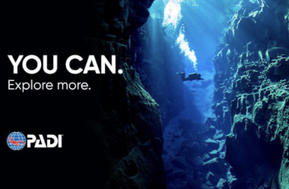 Scuba Diving Icon