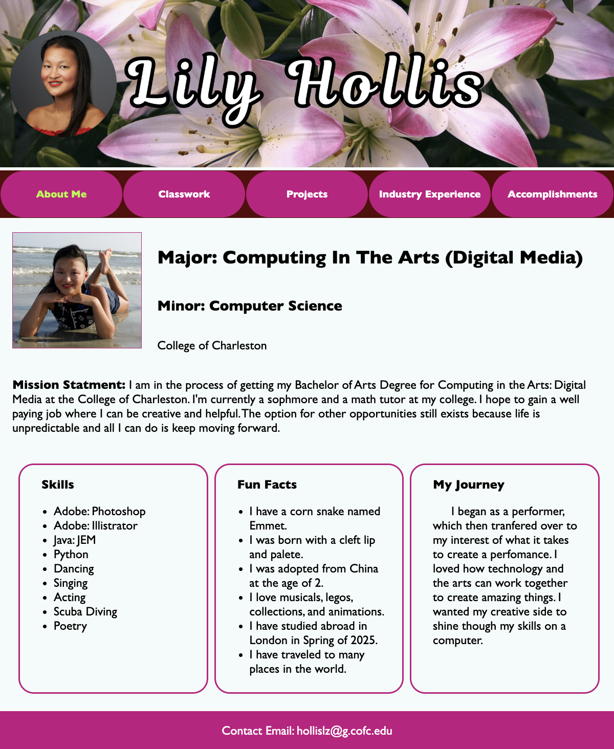 Website Resume icon
